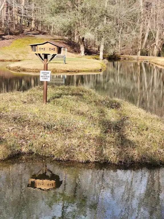 Cozy Cabin: River View With Hot Tub Dahlonega Exteriör bild